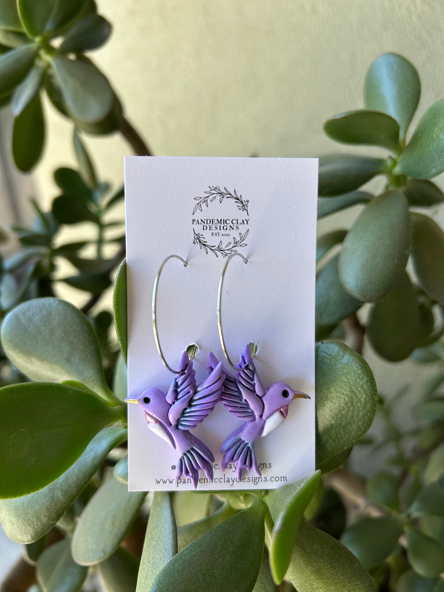 Purple Hummingbird