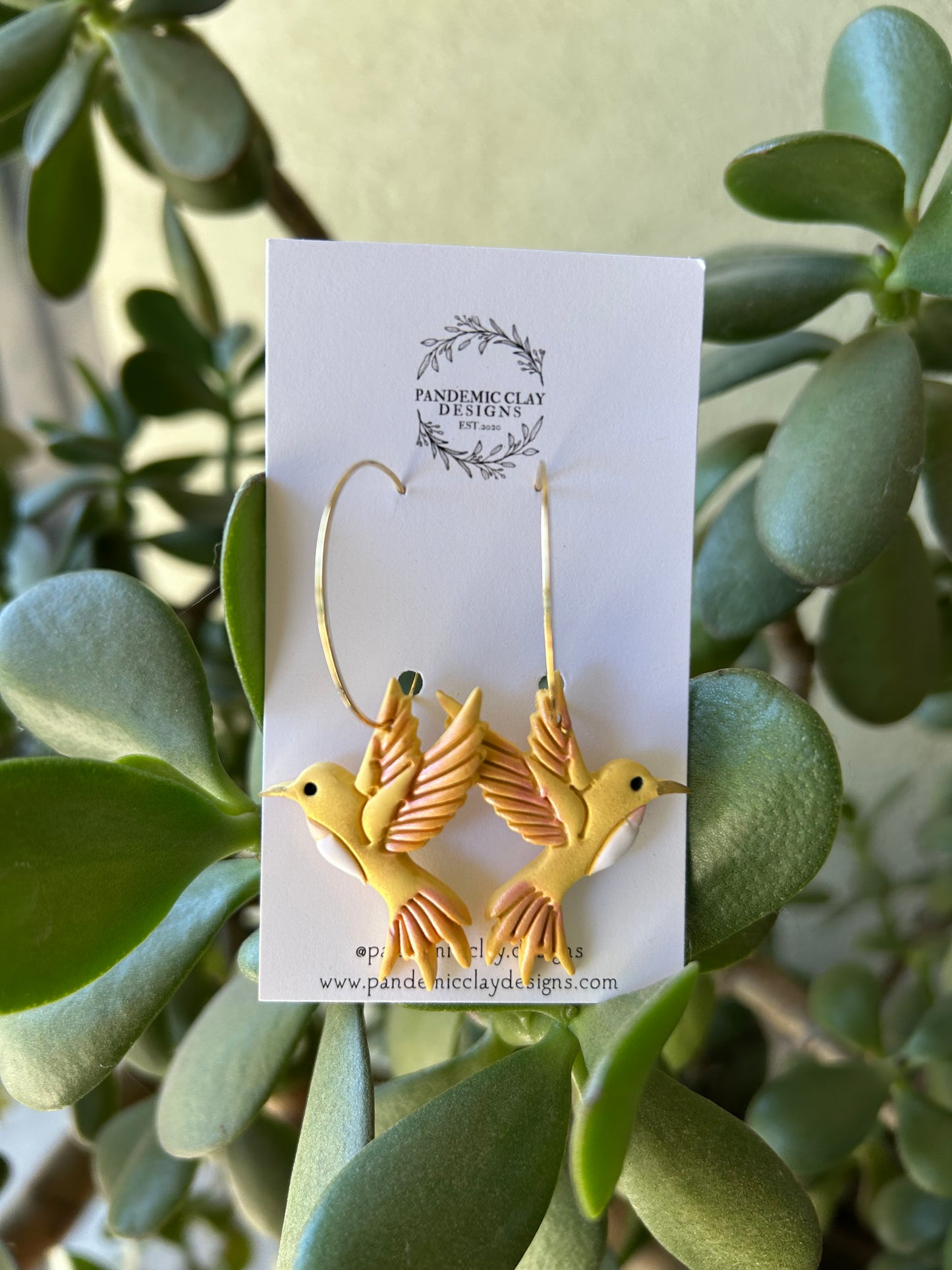 Yellow Hummingbird