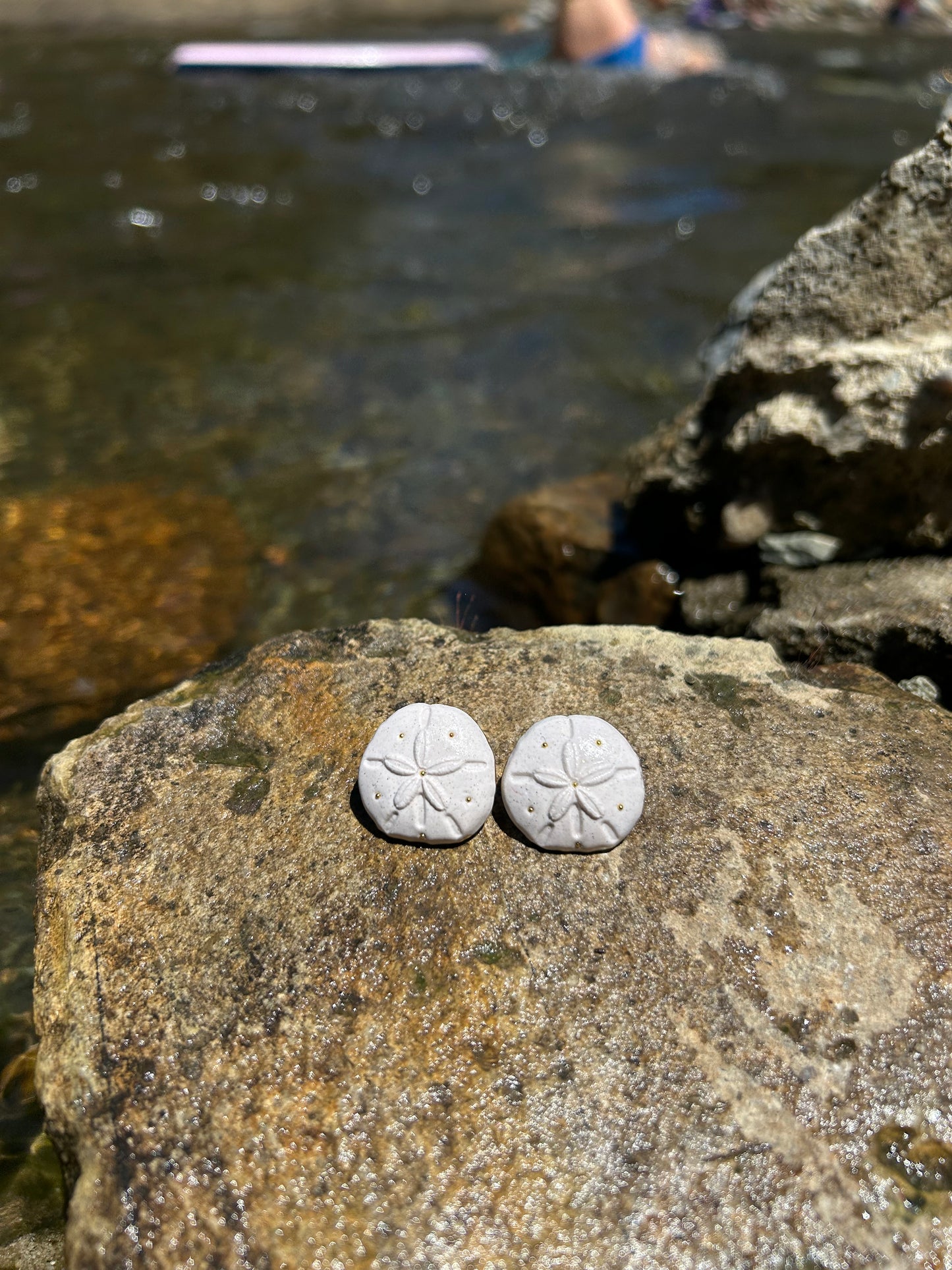 Large Sand Dollar Stud