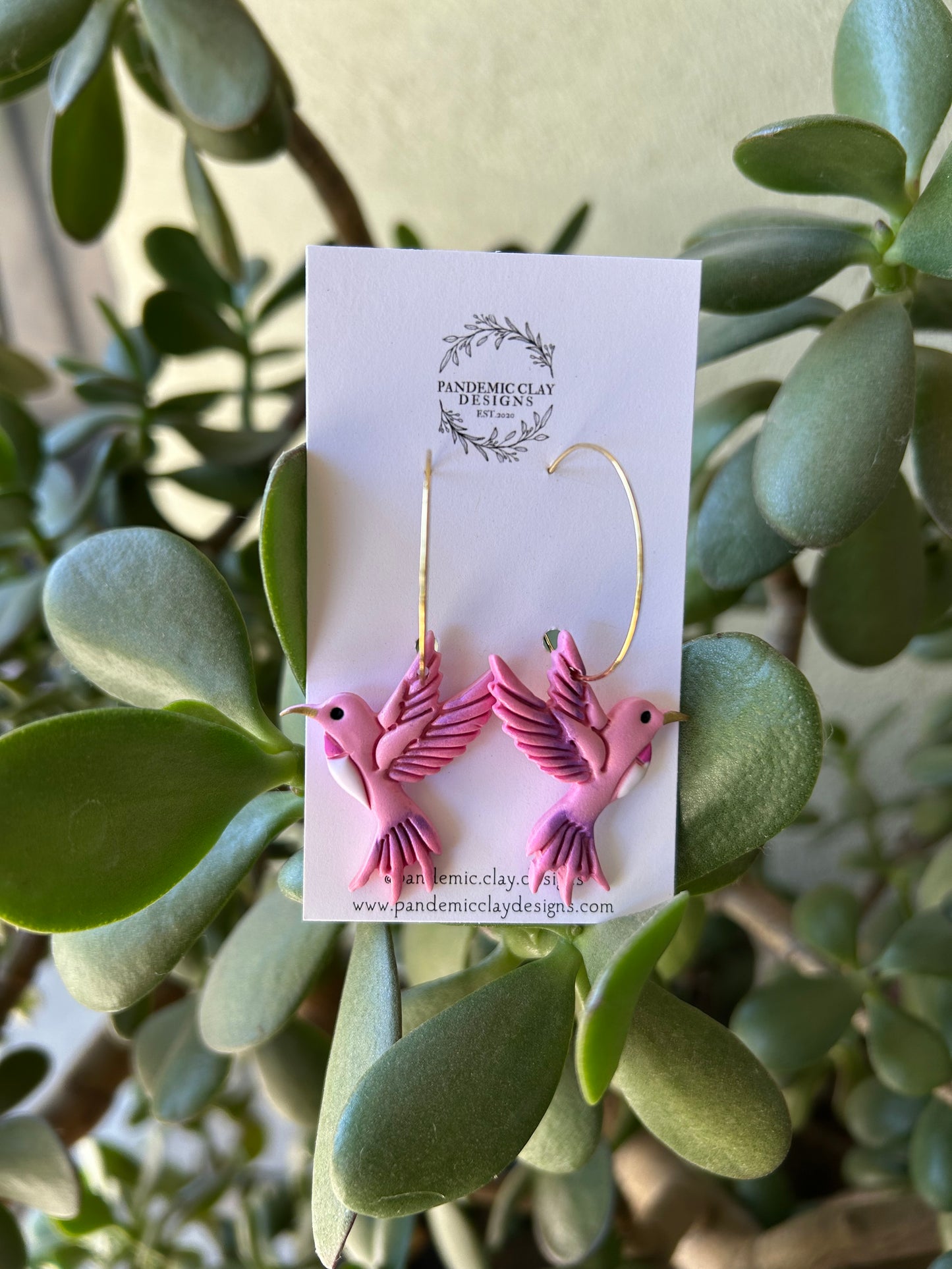 Pink Hummingbird