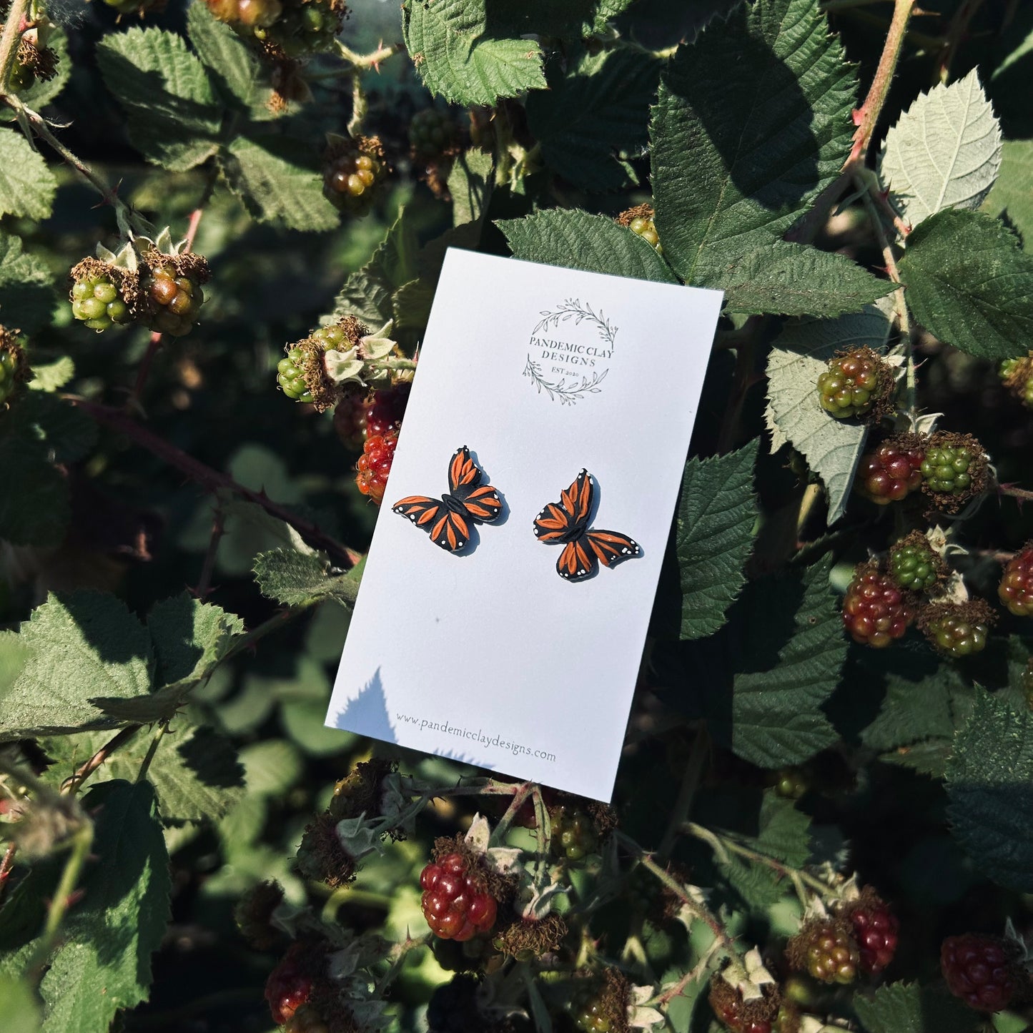 Monarch Studs