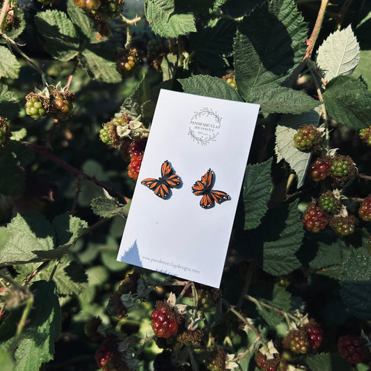 Monarch Studs