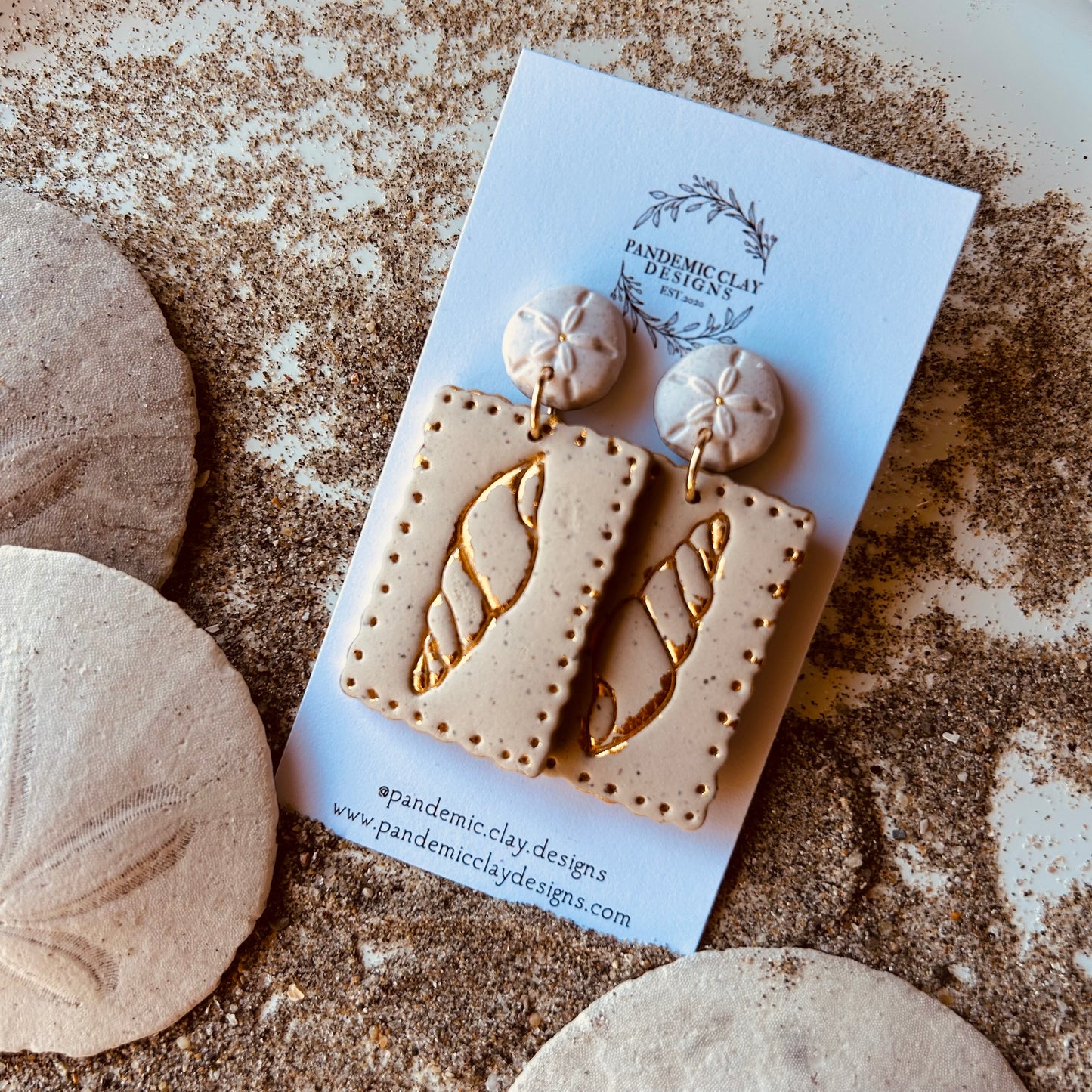 Sea Shells & Sand Dollars