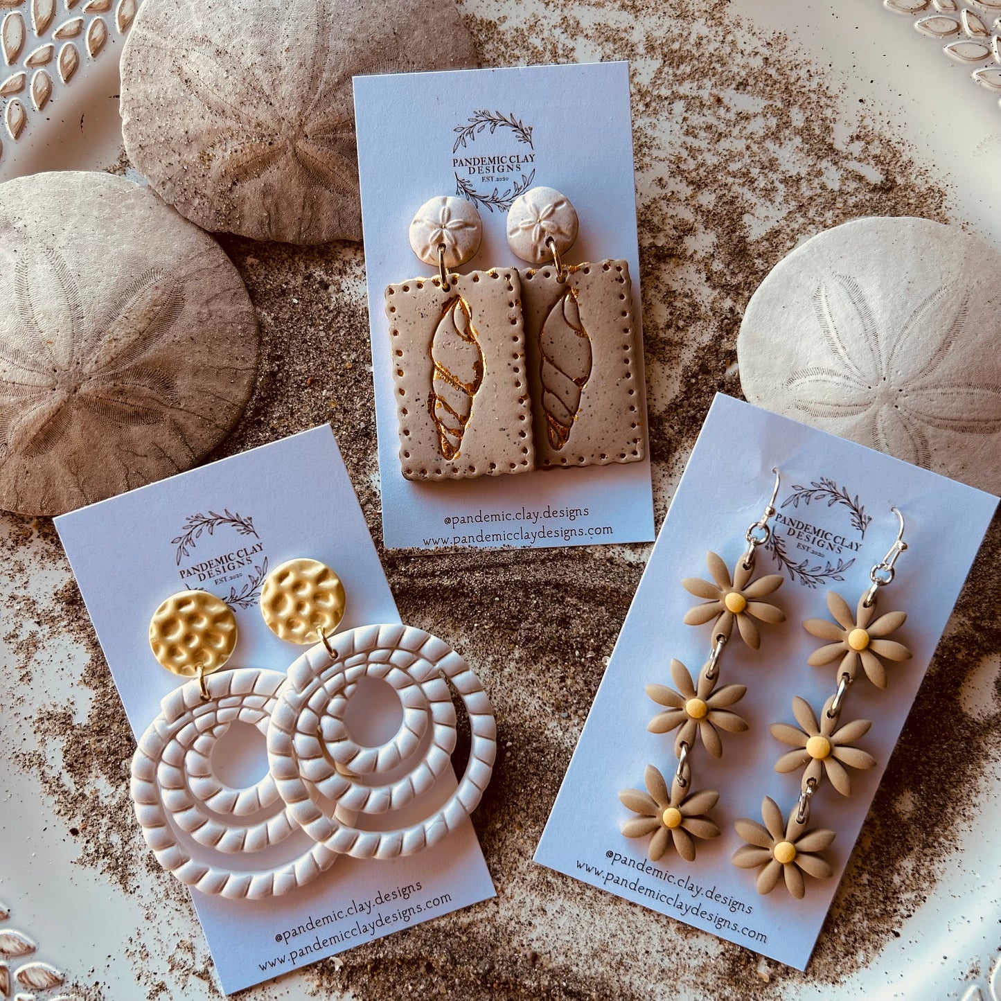 Sea Shells & Sand Dollars
