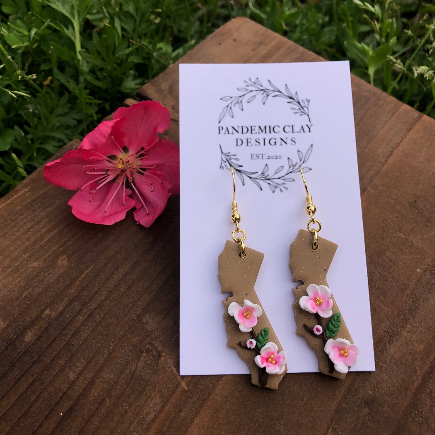 California Almond Blossoms